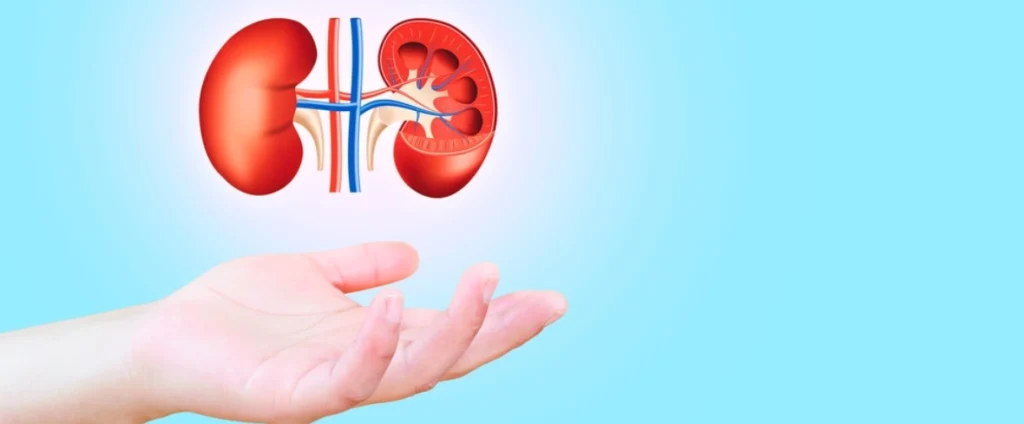 The Importance of Early Diagnosis for Urological Conditions