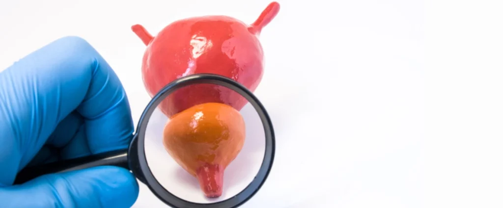 Regular Prostate Health