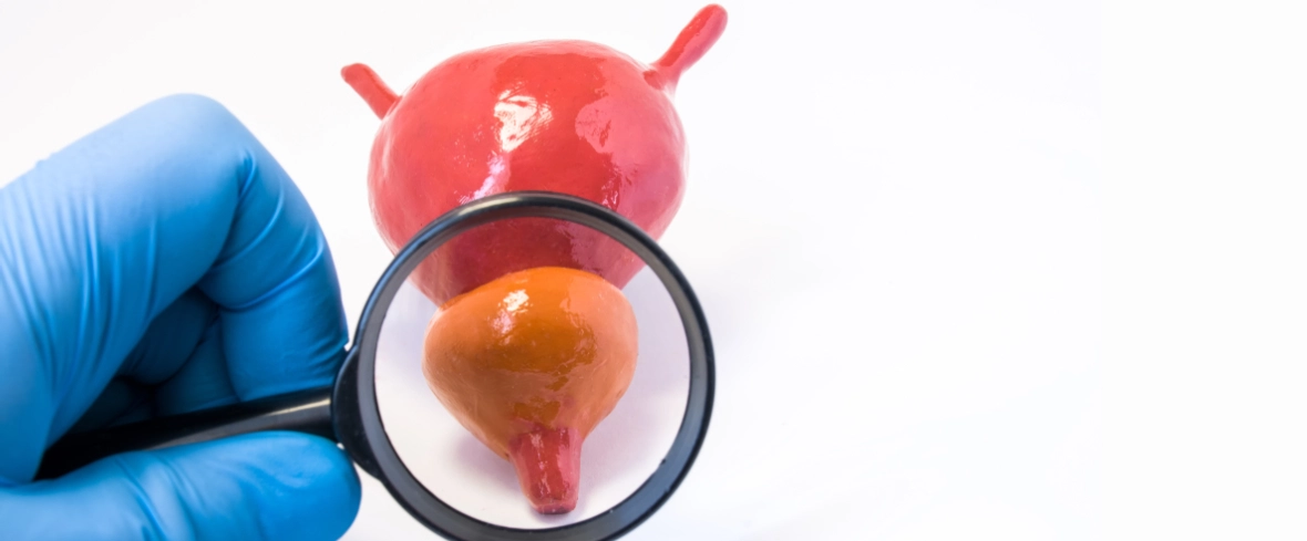 Regular Prostate Health