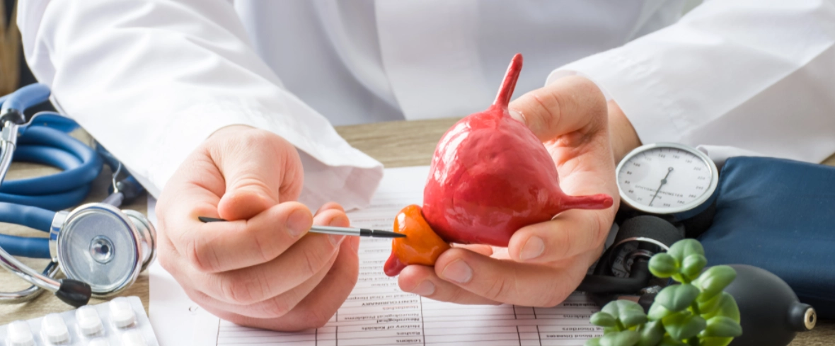 What You Need to Know About Prostatitis